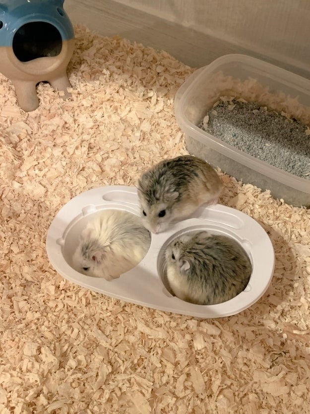 病院や医療従事者によって違う 家族 の定義 新型コロナで広がるlgbt当事者の不安