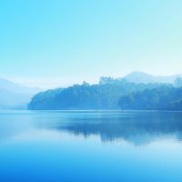 可樂旅遊~大里陳小真