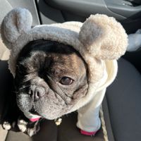 BUHI会無料サロン