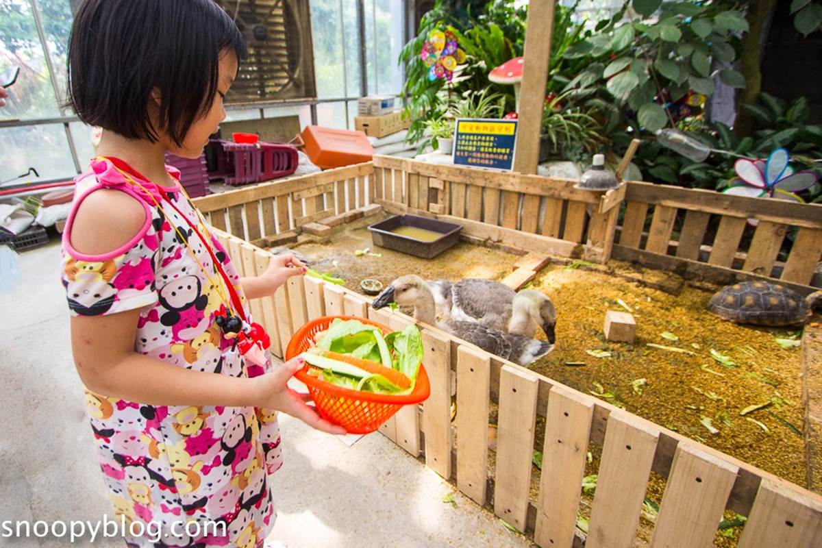 新北人放空首選！五股區６處私房景點：農場內「瀑布祕境」、森林磨石子滑梯