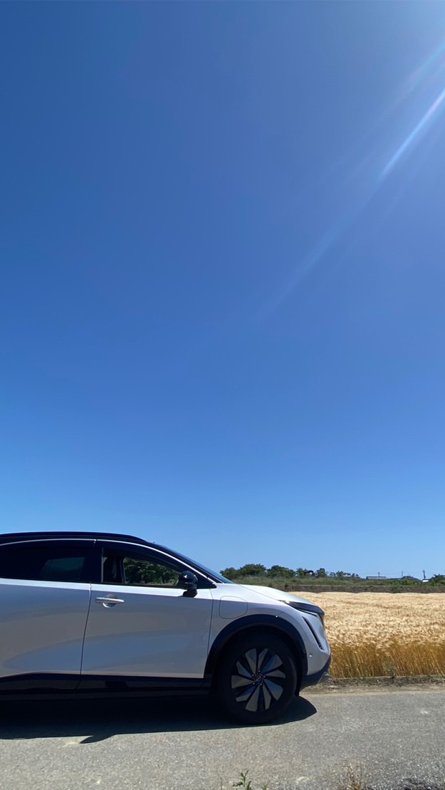 日産アリア大好き⭐︎シニア組