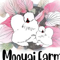 MooyaiFarm ไก่สวยงาม ไม้ด่าง วัสดุปลูก
