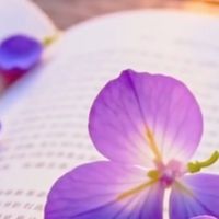 民生社區舞蹈筆記本📒