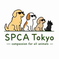 SPCA Tokyo 【公式】チャット💬