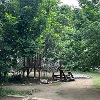 113理想圓畢業班