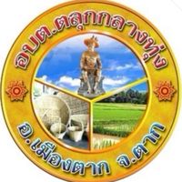 ภาษีที่ดินและสิ่งปลูกสร้าง กองคลัง อบต.ตลุกกลางทุ่ง