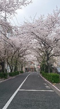 UEC新歓のオープンチャット