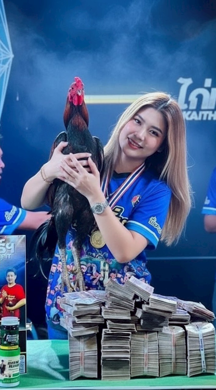 ซุ่มไก่ชนดัง