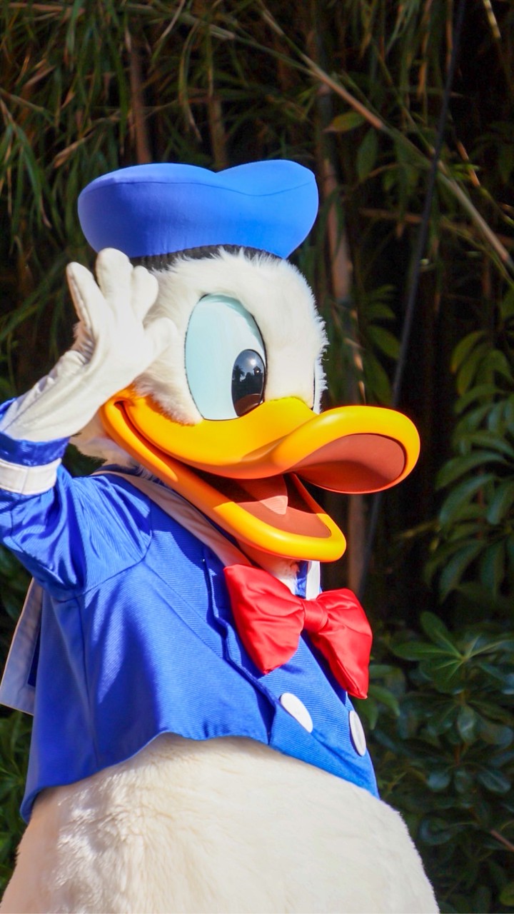 ディズニー好きあつまろ
