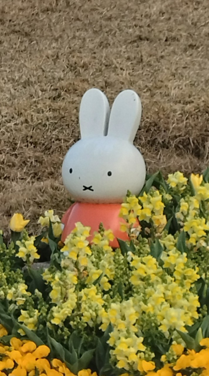 みんなで楽しく雑談しよー！