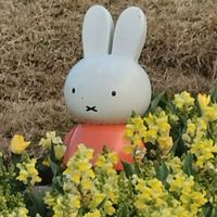 みんなで楽しく雑談しよー！