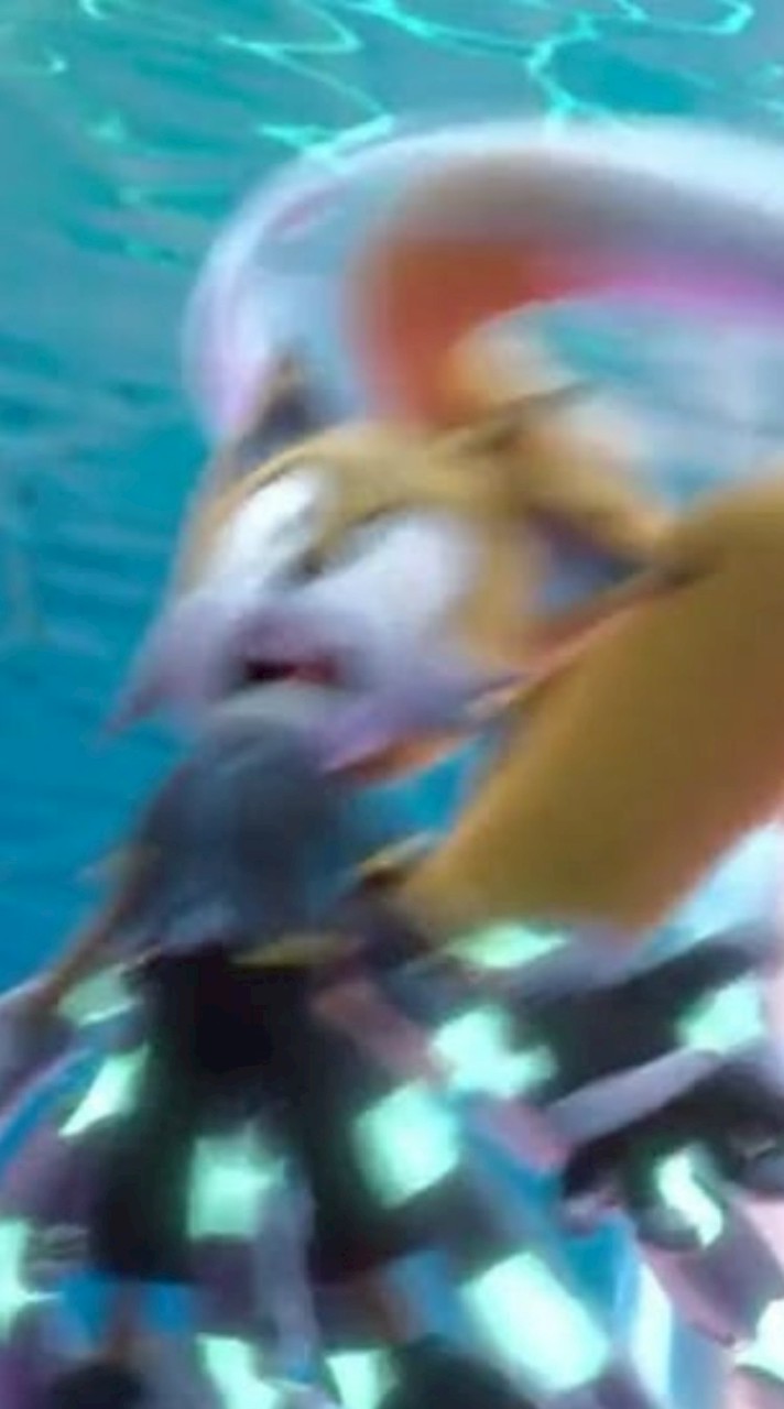 รวมพลคนเล่นSonic exe the disaster (รวมบุคคลด้อมโซนิค)