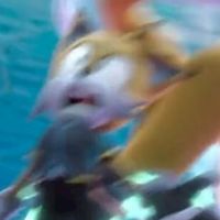 รวมพลคนเล่นSonic exe the disaster (รวมบุคคลด้อมโซนิค)