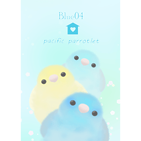 マメルリハ/ブルー04