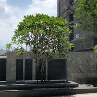 昂峰謙若樹-區權人交流社群