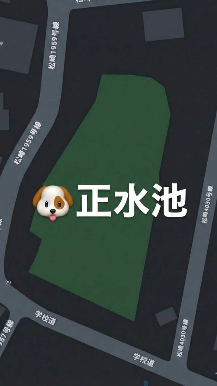 【正水池】ドッグラン🐕