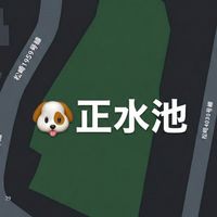 【正水池】ドッグラン🐕