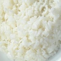 こさめと雑談