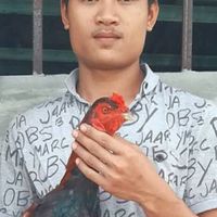 เจมส์ เจริญฟาร์ม ไก่ชน