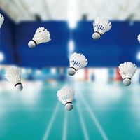 誰羽爭鋒 Prominton 🏸布里斯本南區臨打團