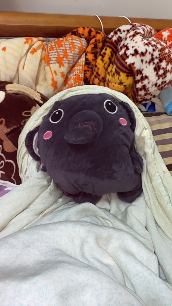小大象