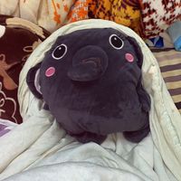 小大象