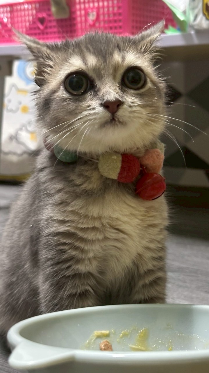 บ้านบีเบลเองพรี้ๆ