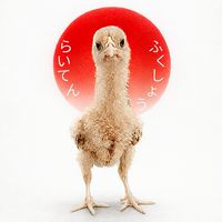 らいてんふくしょうりゅう の じゅんけつ おおしゃも