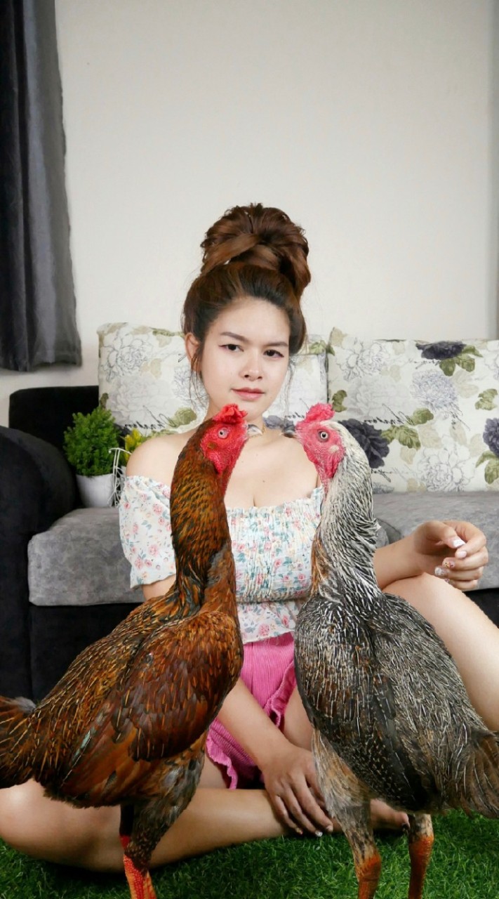 ซุ้ม​นครอุบล🐓