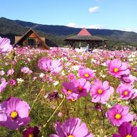 『50才以上、独身で親を介護している人の部屋』女性限定