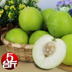 ◎◆綠色栽種產銷履歷驗證農產品 ◆特選果型碩大 超滿意大顆果實|◎◆果肉青脆鮮甜爽口 甜度高清甜十足 ◆嫩翠小蘋果外型|◎◆禮盒包裝送禮自用兩相宜 ◆為給您最新鮮現採蔬果，出貨工作天約3-5日品牌:果