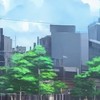 折恋❀固定cp