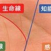 手相無料占い診断