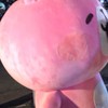 阿勇呦起來