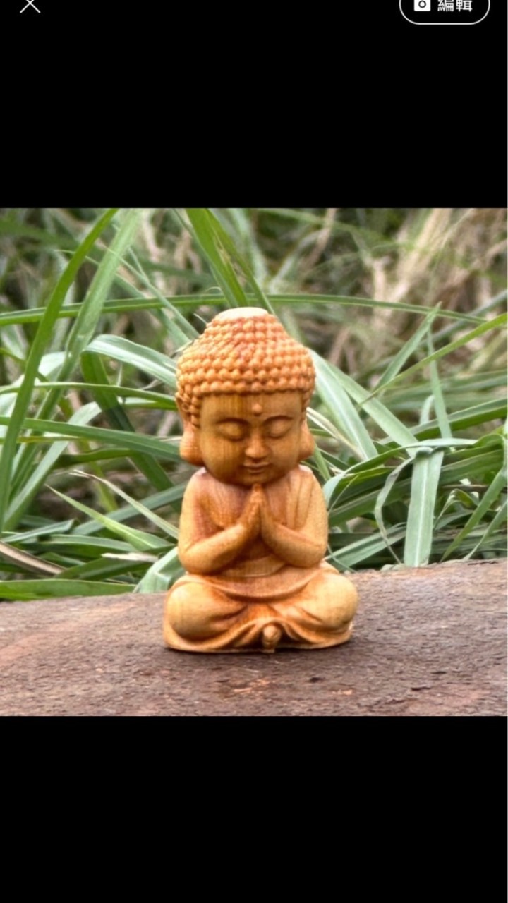 南無本師釋迦摩尼佛