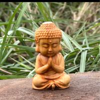 南無本師釋迦摩尼佛