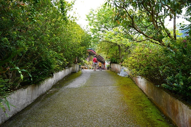 仙山仙草,仙草冰,南庄旅遊行程,南庄觀光景點,星仙草,星仙草景觀咖啡,星仙草景觀咖啡餐廳,獅潭仙草,獅潭好吃仙草,獅潭必吃,獅潭景點,獅潭美食,獅潭老街,苗栗仙山景點,苗栗旅遊景點,苗栗景觀咖啡廳,苗栗景點,苗栗獅潭仙草推薦,苗栗甜點,苗栗縣仙山觀光推薦,苗栗縣仙草,苗栗縣手作下午茶,苗栗縣獅潭觀光推薦,苗栗縣獅潭鄉,苗栗美食