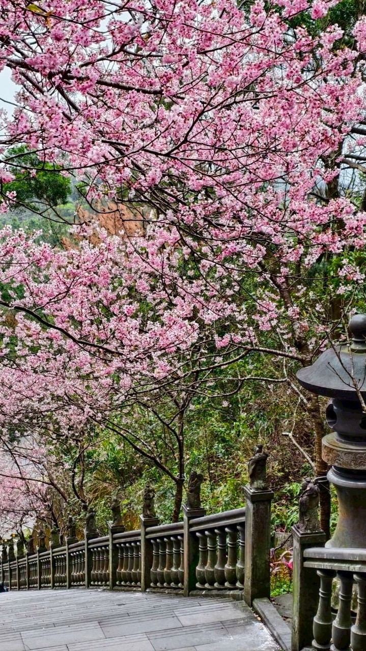 太乙門——山東國術館劉老師傳台武術