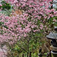 太乙門——山東國術館劉老師傳台武術