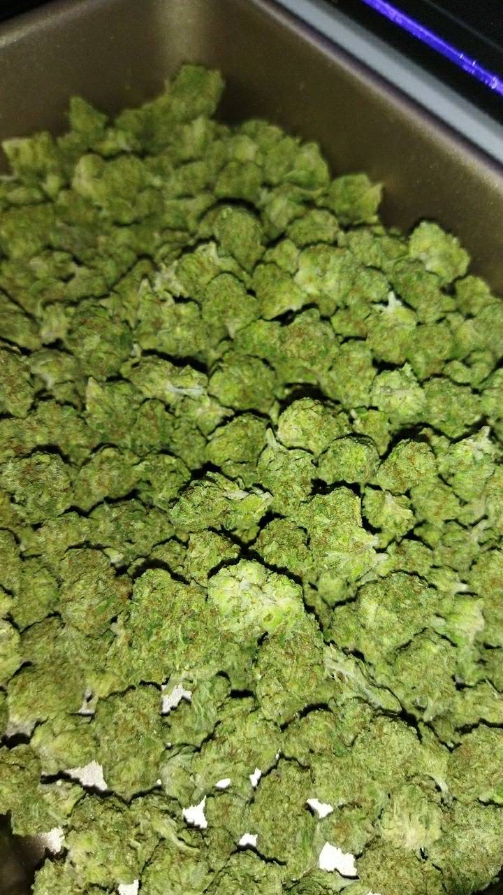 กัญชา 🚀Exotic Nakhon Pathom WEED JSF Shop NG🚀