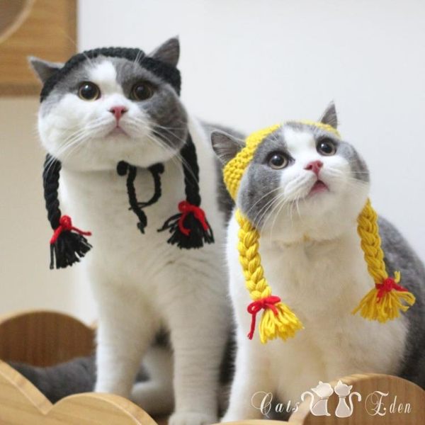 店長推薦寵物貓咪小女生雙麻花辮子造型變裝帽子假發手工毛線編織搞笑可愛