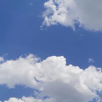 学生(浪人生含む)限定‼️雑談・勉強・会話オプ