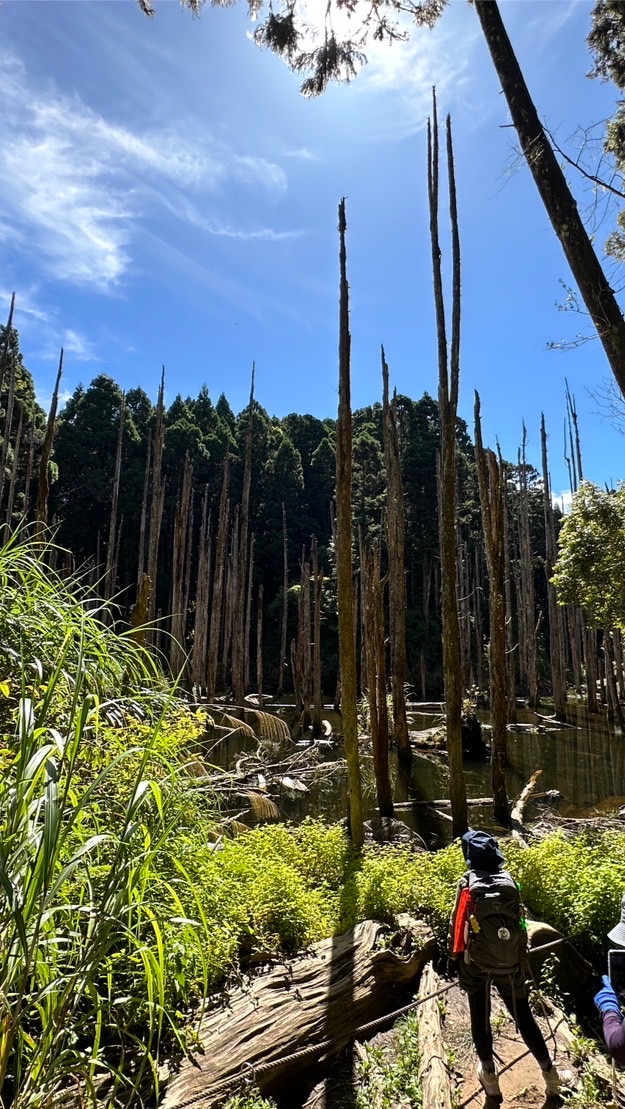 南青登山協會(社群)