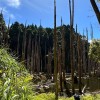 南青登山協會(社群)