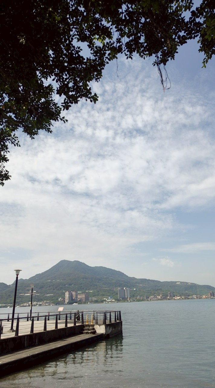 浪浪開心家族