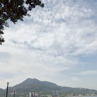 浪浪開心家族