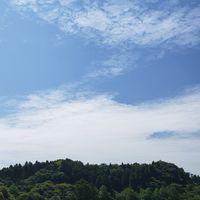 口唇口蓋裂のお話✩一緒に頑張ろう♪