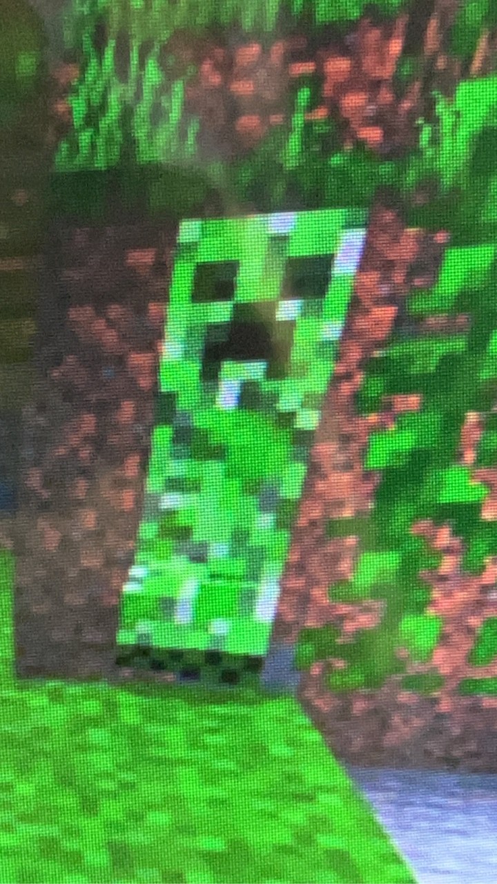 マイクラ初心者〜ガチ勢