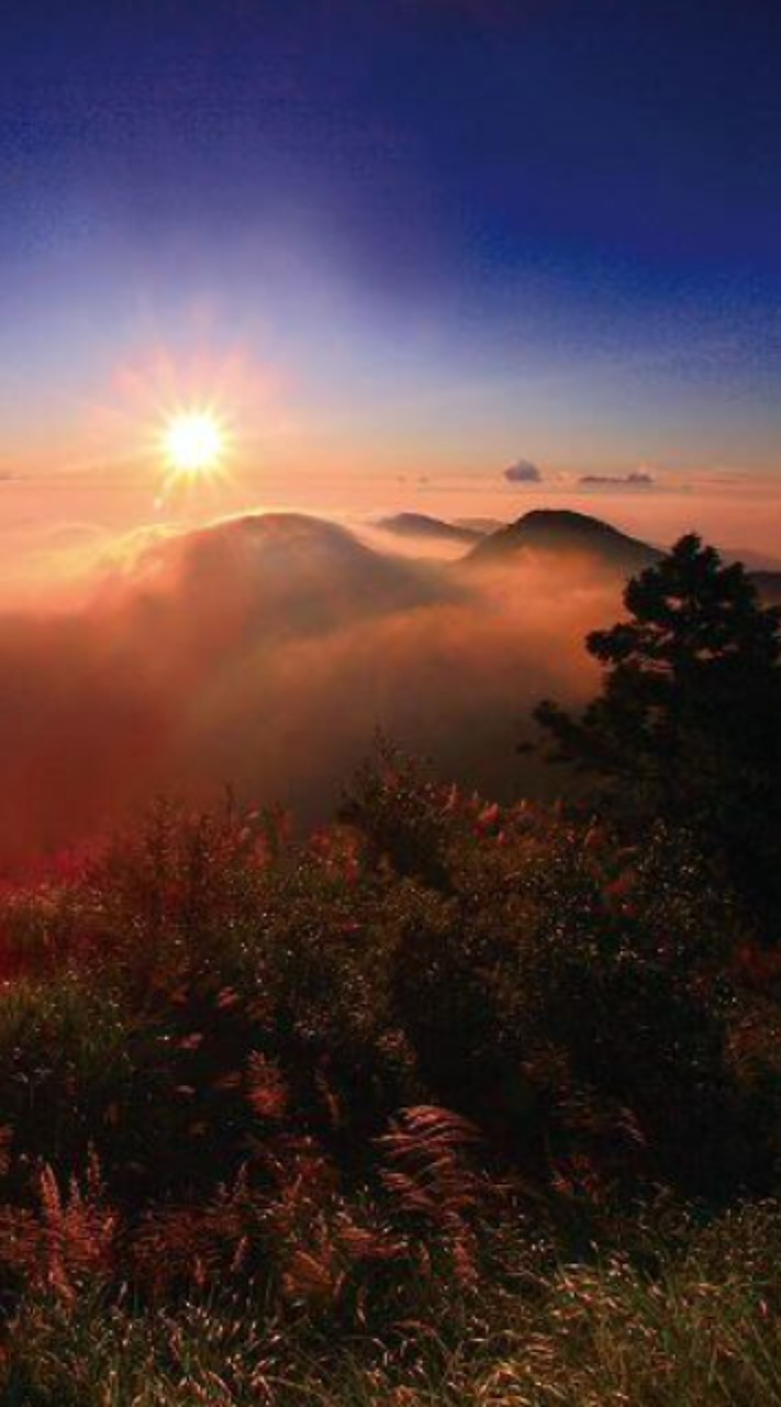 2026/1/1夜未眠/三貂角，龍洞灣岬，鼻頭角，東北角沿途海岸線呷海鮮