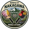 中川ピックルボール🏓【長野県上伊那郡中川村】🏔️